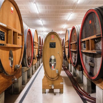 La Maison de Mireio - La Bastide Blanche - Le Vignoble